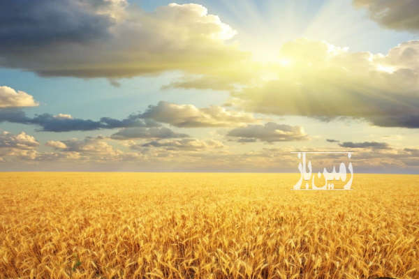 ۱۲ هکتار زمین کشاورزی محدوده شهر زیر پیست موتور سواری-1