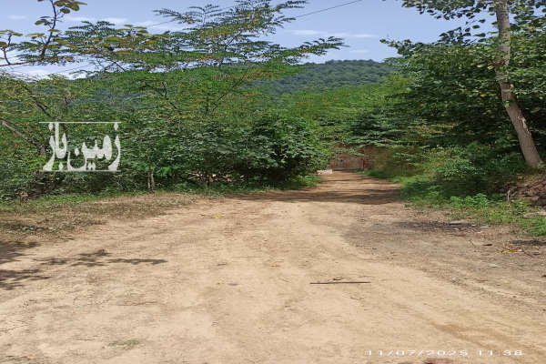 زمین مسکونی ۱۰۰۰ متر در روستای انبوه مشایخ با ویو عالی-4
