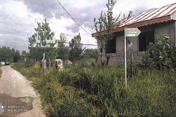 دو قطعه زمین (باغ مسکونی) کلش طالشان ۲۷۰۰ متری-2