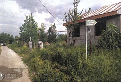 دو قطعه زمین (باغ مسکونی) کلش طالشان ۲۷۰۰ متری