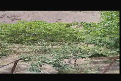 زمین خونه باغی ۱۱۰۰ متر در روستای ایرا واقع در لواسان
