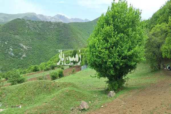 زمین به متراژ ۲۱۰۰ کلیبر بر خیابان اصلی - تصویر 2