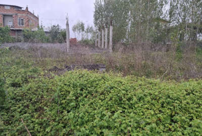 زمین مسکونی ۵۰۰ متری واقع در روستای گلیرد