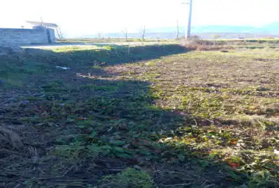 زمین نامه دادگستری ۲۳۶۰۹ متر روستای تسبیح کلا