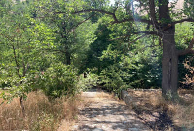 باغ با ملک منطقه کردان روستای آغشت ۱۴۰۰ متر