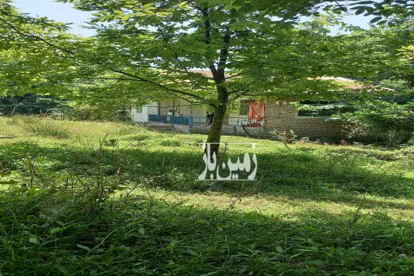 زمین ۳۹۰۰ متری سیاهکل روستای کولاک اور - تصویر 1