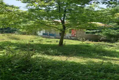 زمین ۳۹۰۰ متری سیاهکل روستای کولاک اور