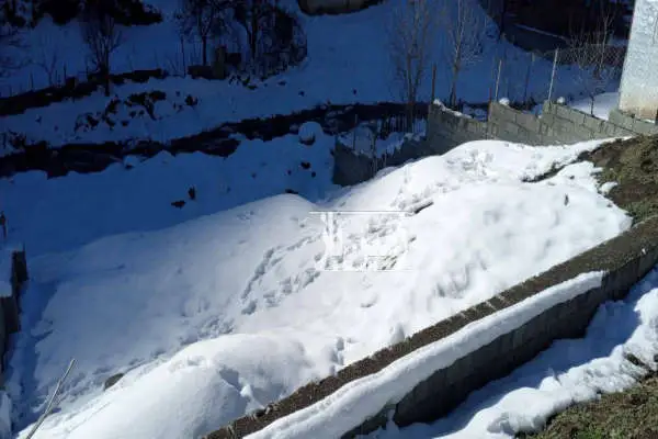 زمین مسکونی ۲۲۰ متر موقعیت عالی روستای ییلاقی ششرودبار - تصویر 2