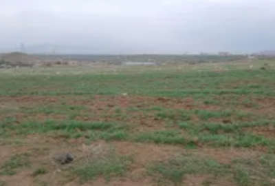زمین دیم کشاورزی قولنامه ای با ثبت کد رهگیری