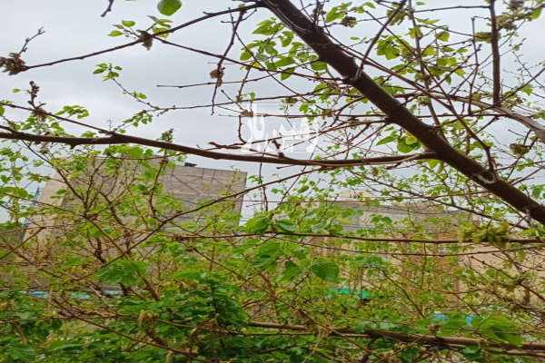 زمین ۱۱۰۰۰ متری باغ روستای سالی کوچک حومه خرم اباد-1