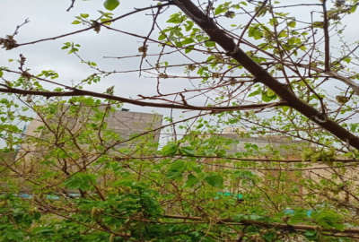 زمین ۱۱۰۰۰ متری باغ روستای سالی کوچک حومه خرم اباد