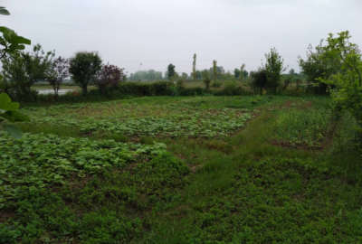 زمین ۴۵۲ متری در روستای خوش نشین