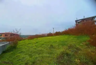 زمین در خیابان تهران روستای واسکس ۲۰۰ متر