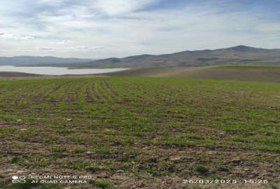 زمین در روستای قلعه کهنه سقز ۹۱۲۸ متر