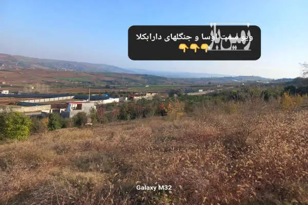 باغ انار در روستای لالیم خارج از بافت ۲۱۰ متر - تصویر 4