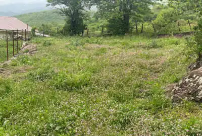 زمین مسکونی در ییلاق مکش (تندبین) دارای پروانه ساختمان
