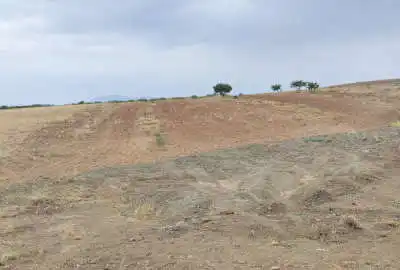 ۸۰۰۰ متر زمین کشاورزی در حال گرفتن سند تک برگ محله مندرجان