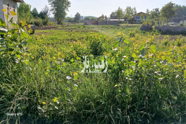 زمین مسکونی روستایی در تولم شهر لیفشاگرد ۲۵۰۰ متر-4