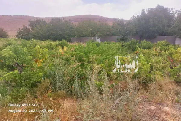 باغ ثمری انگور ۳۳۰۰ متر واقع در شهرک پردیس - تصویر 4