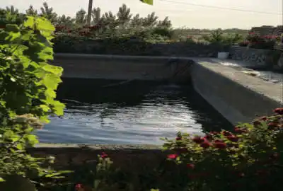 باغ یک هکتاری ۳۵ کیلومتری قم روستای قاضی بالا