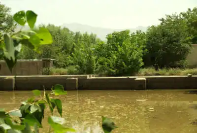 زمین ۳۰۰۰ متری در قنات خالصه با درختان مثمر نزدیک شهر