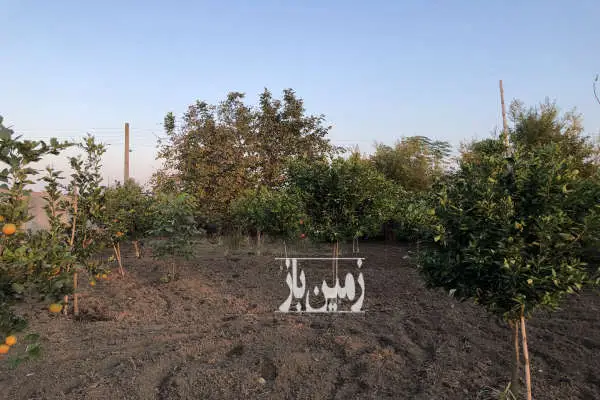 زمین باغی به متراژ ۹۰۰ متر واقع در چمازکتی - تصویر 2