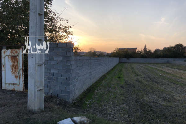 زمین باغی به متراژ ۹۰۰ متر واقع در چمازکتی-3