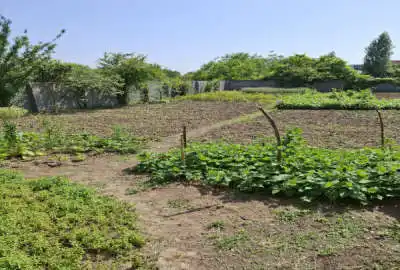 زمین اقساطی داخل بافت روستای پایین افراکتی ۲۵۰ متر