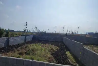 زمینی به متراژ ۲۰۰ واقع در روستای تیروجان