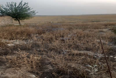 زمین ۲۶۴ متر واقع درشهر فراغی دارای وام