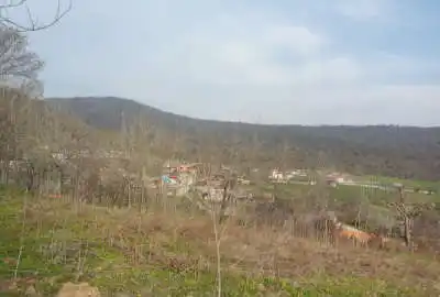 زمین ۲۱۵متری در روستای علمدارده