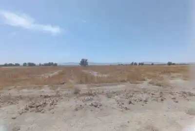 زمین کشاورزی فروشی در نهبندان دو و نیم هکتار