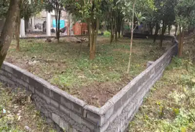 زمین باغی مسکونی چالوس خط هشت روستای آیشبن سفلی ۳۳۰ متر