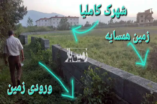 ۴۰۰۰ متر زمین در پسکلایه بزرگ با ویو دریا و جنگل - تصویر 3