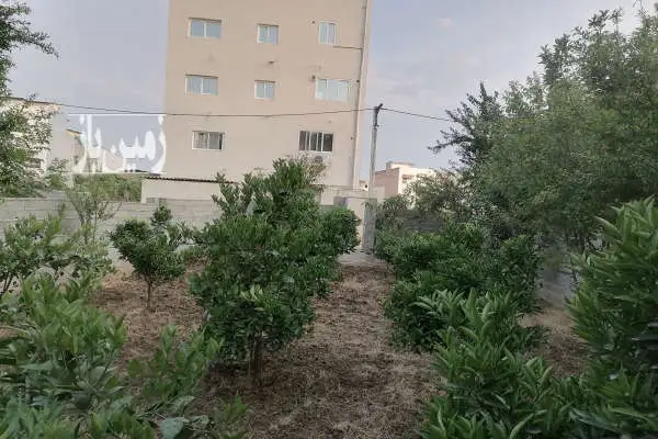 ۱۹۷ متر زمین مسکونی واقع در خیابان تهران - تصویر 4