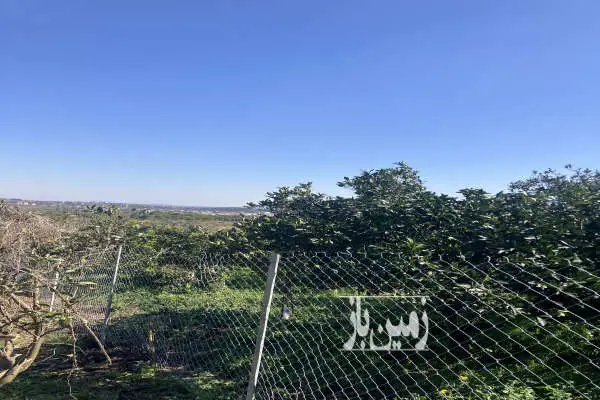 ۵۰۰ متر زمین در جاده نظامی بالاتجن روستای پاشا کلا - تصویر 2