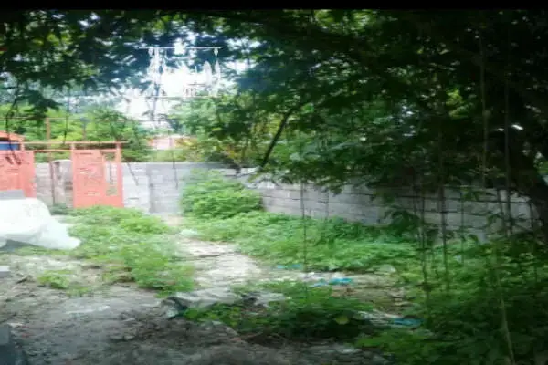 زمین مسکونی ۲۱۱ متری دور دیوار روستای امیلدان زیباکنار - تصویر 2