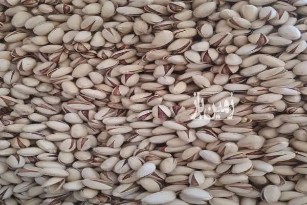 باغ پسته اکبری و احمداقایی ۷ هکتار بین سبزوار و نیشابور - تصویر 3