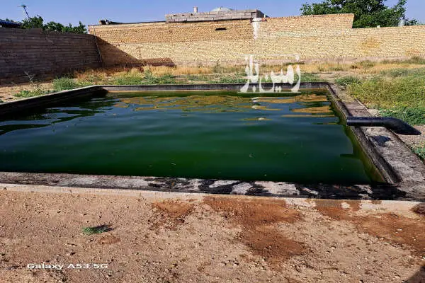 زمین باغی ۴ دیواری بعد از ناظریه روستای پایین ۱۰۰۰ متر - تصویر 2