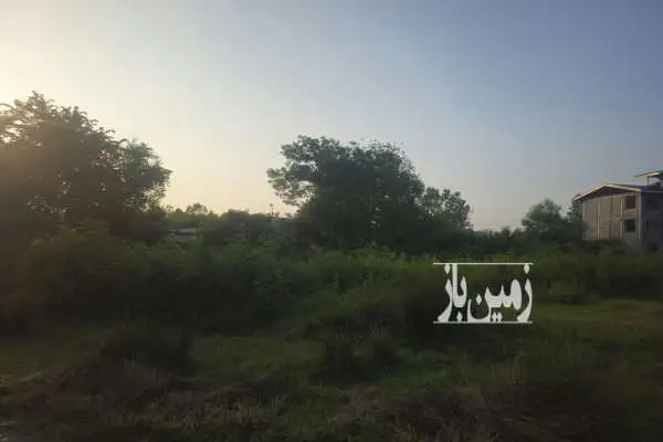 زمین مسکونی ۱۷۷۴ متری در مجاور شهر املش سند تک برگ - تصویر 3