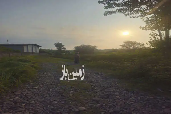 زمین مسکونی ۱۷۷۴ متری در مجاور شهر املش سند تک برگ - تصویر 4