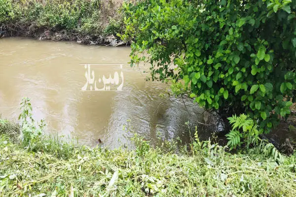 باغچه کنار رودخانه همراه ی پی و دیواره ها ۷۵۰ متر - تصویر 3