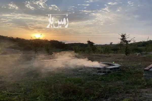 باغچه ۶۰۰ متری در روستای آمره مکانی جنگلی و آرام - تصویر 2