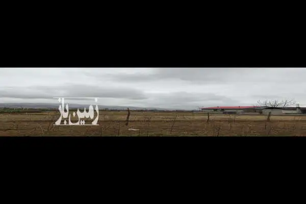 زمین مزروعی در روستای کلیم سرا بر خیابان ۱۰۰۰ متر - تصویر 2