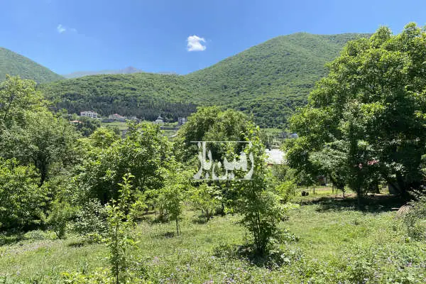 زمین۲۵۰۰ً متر رودبارک خیابان شهید علی نقوی - تصویر 3