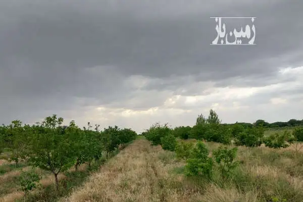 باغ سر حال قدیمی در محمود آباد نمونه ۲۰۰۰ متر - تصویر 2