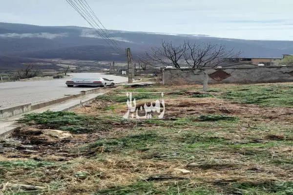 زمین مسکونی لب جاده با ویوی جنگل روستای کچپ محله - تصویر 1