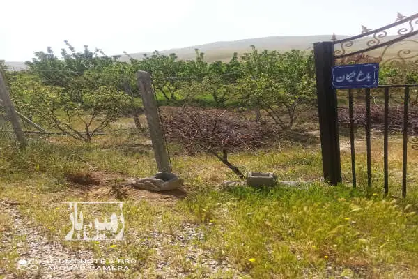 ۱۰۰۰متر باغ واقع در روستای شورچه مجتمع گلستان - تصویر 1