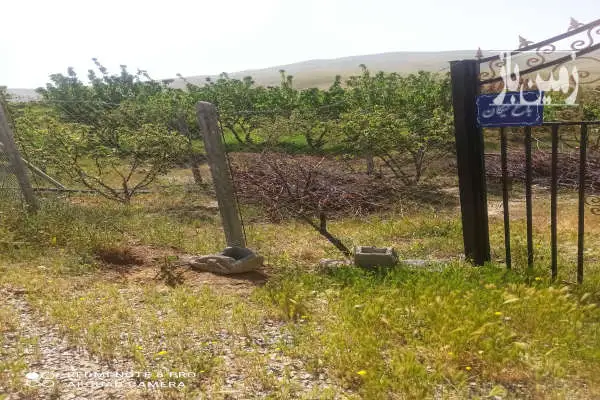 ۱۰۰۰متر باغ واقع در روستای شورچه مجتمع گلستان - تصویر 4
