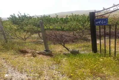 ۱۰۰۰متر باغ واقع در روستای شورچه مجتمع گلستان